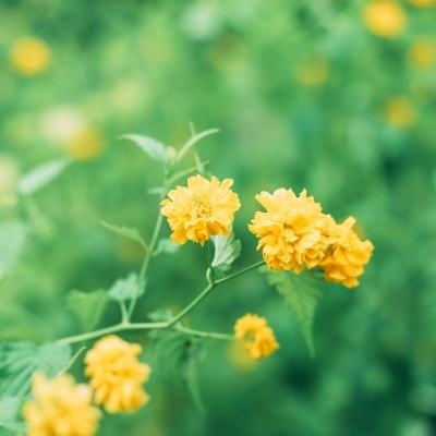 生活派对手游官方下载
