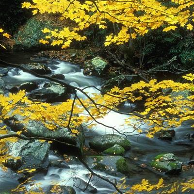 h5蜀山奇侠传手游下载